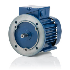 DSG P Synchronous Generator